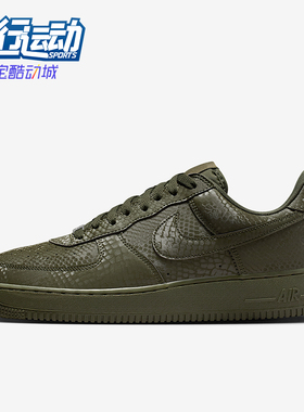 Nike/耐克正品2025秋季款男士日常蛇皮纹低帮耐磨板鞋IB0018-301