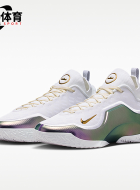 Nike/耐克正品LeBron新款男白紫色经典实战外场篮球鞋IB9558-100