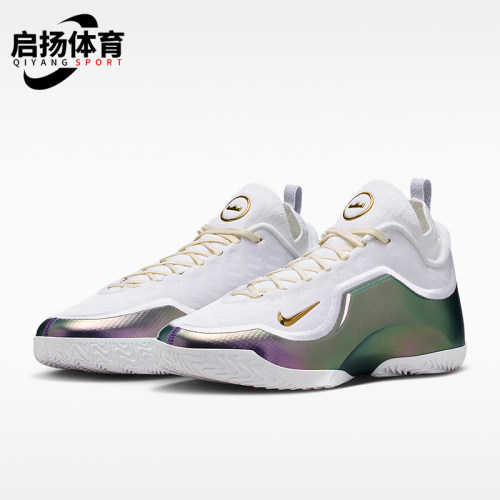 Nike/耐克正品LeBron新款男白紫色经典实战外场篮球鞋IB9558-100