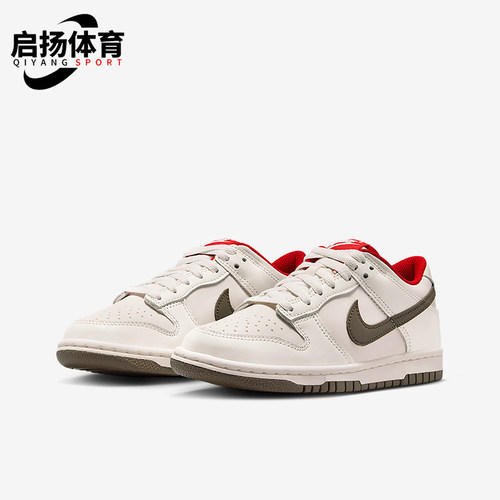 Nike/耐克正品Dunk Low GS女子大童系带耐磨低帮运动鞋IQ9793-020