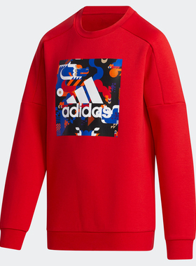 Adidas/阿迪达斯正品春季新款大童装训练运动套头卫衣 GP0542