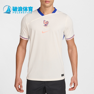 Nike/耐克正品 Dri-FIT男士图案足球训练经典运动短袖FZ9023-110