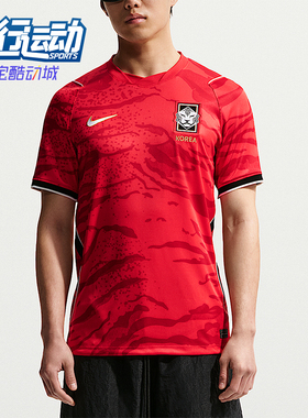 Nike/耐克正品Dri-FIT男士套头舒适经典训练短袖T恤IB5328-679