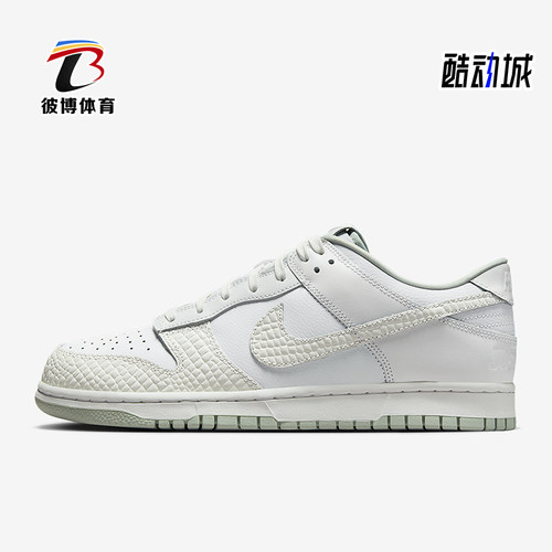 Nike/耐克正品Dunk Low Retro LTD 2男女运动复古板鞋IB2262-100