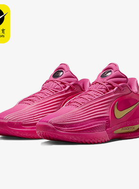 Nike/耐克正品2025夏季款男士系带减震耐磨运动篮球鞋IM9441-600