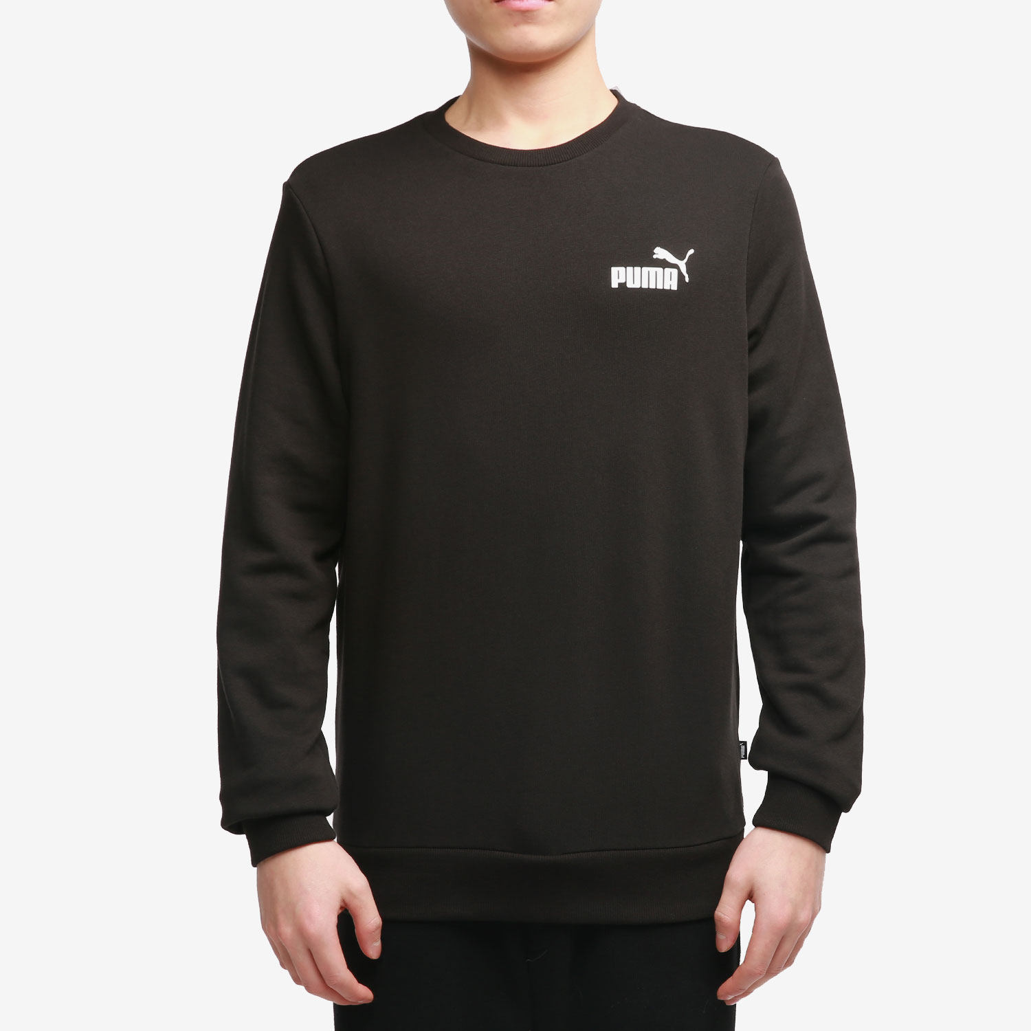 Puma/彪马正品当季新款男子圆领休闲上衣套头卫衣 589034-01,运动服/休闲服装,运动卫衣/套头衫,淘宝优惠券,粉丝福利购,淘宝优惠卷