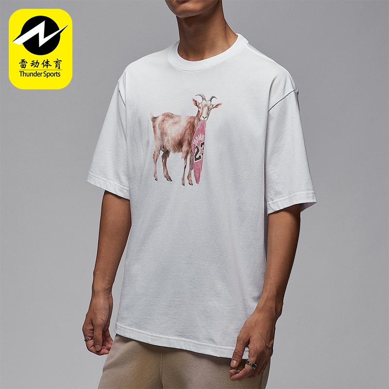 Nike/耐克正品JORDAN男士印花休闲运动圆领套头短袖IF0787-100