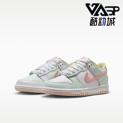 Nike/耐克正品DUNK GS女子大童耐磨透气经典缓震板鞋IV2861-181