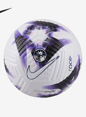 Nike/耐克正品高端英超男女比赛训练运动5号足球FB2979-101