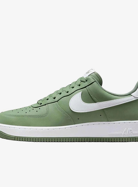 Nike/耐克正品2025秋季款男士日常低帮系带透气板鞋FJ4146-301