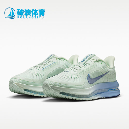 Nike/耐克正品PEGASUS PREMIUM女士缓震专业经典跑步鞋HQ2593-301