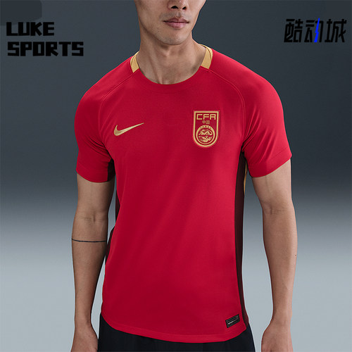 Nike/耐克正品Dri-FIT男士运动足球训练透气经典球衣FZ9018-687