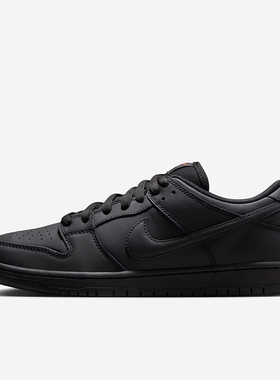 Nike/耐克正品Dunk SB男女同款系带简约透气日常板鞋FJ1674-001