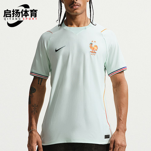Nike/耐克正品夏季Dri-FIT男士透气训练运动短袖T恤IB5367-394