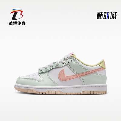 Nike/耐克正品DUNK GS女子大童耐磨透气经典缓震板鞋IV2861-181
