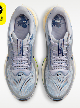 Nike/耐克正品Pegasus Premium 男士缓震经典跑步鞋IR1815-012