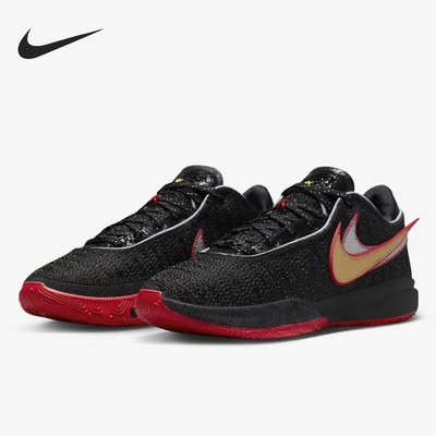 Nike/耐克正品LeBron 20男士防滑运动实战篮球鞋DJ5423-001