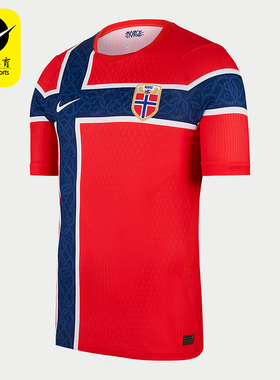 Nike/耐克正品男士主场透气套头圆领短袖足球衣IB5170-673