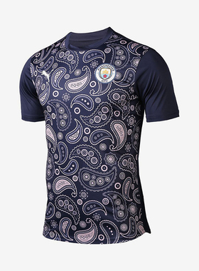 Puma/彪马正品2025男士日常圆领套头耐穿透气足球短袖758030-09