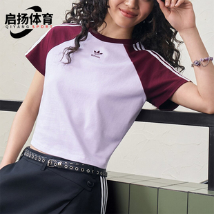 Adidas/阿迪达斯正品三叶草女士日常经典时尚休闲针织T恤KU4768