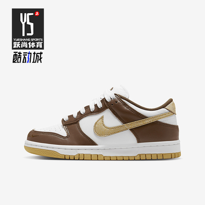 Nike/耐克正品Dunk Low GS女子大童低帮运动耐磨板鞋HM3725-171