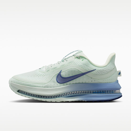 Nike/耐克正品PEGASUS PREMIUM女士缓震专业经典跑步鞋HQ2593-301