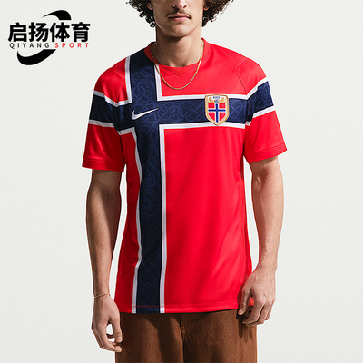 Nike/耐克正品Dri-FIT男士复古足球衣经典运动短袖T恤IB5316-673