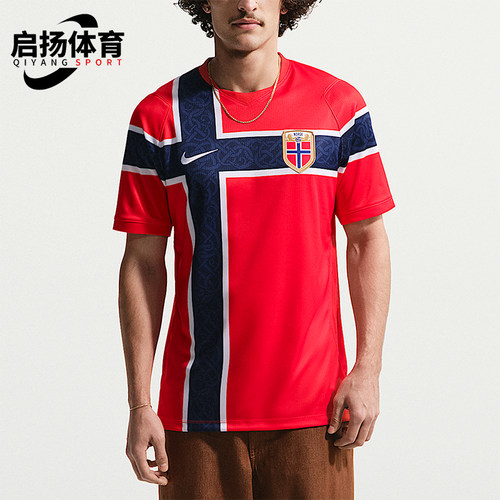 Nike/耐克正品Dri-FIT男士复古足球衣经典运动短袖T恤IB5316-673