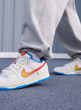 Nike/耐克正品秋季新款男士低帮轻便耐磨透气板鞋HQ3613-133