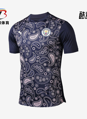 Puma/彪马正品2025男士日常圆领套头耐穿透气足球短袖758030-09