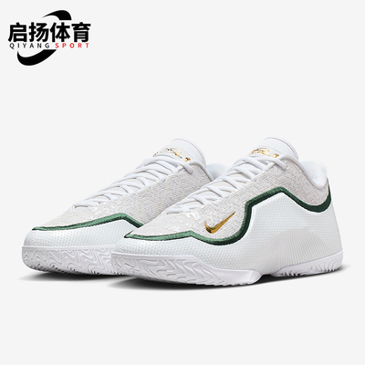 Nike/耐克正品2025秋季款男士减震低帮系带耐磨篮球鞋IB9563-101