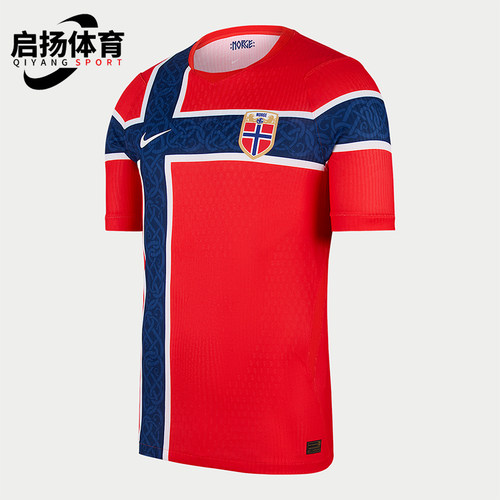 Nike/耐克正品男士主场透气套头圆领短袖足球衣IB5170-673