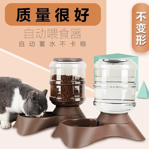 茶杯犬饭碗素材模板 茶杯犬饭碗图片下载 小麦优选