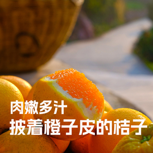 集物图|爆汁的秭归脐橙九月红橙 鲜嫩多汁 不属于高甜水果 包邮