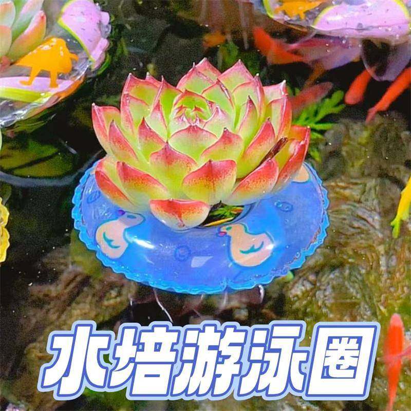 室内植物用游泳圈迷你水培器皿 水族造景卡通小物固定篮
