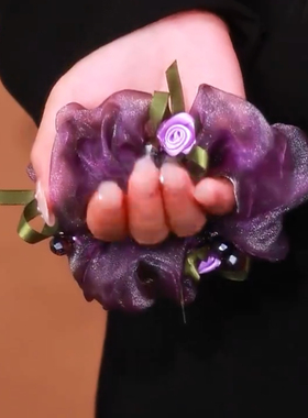 2025年新款爆款时尚轻奢紫色欧根纱大肠发圈精致百搭优雅高级发饰