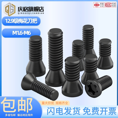 刀杆螺丝12.9级数控铣刀片刀盘