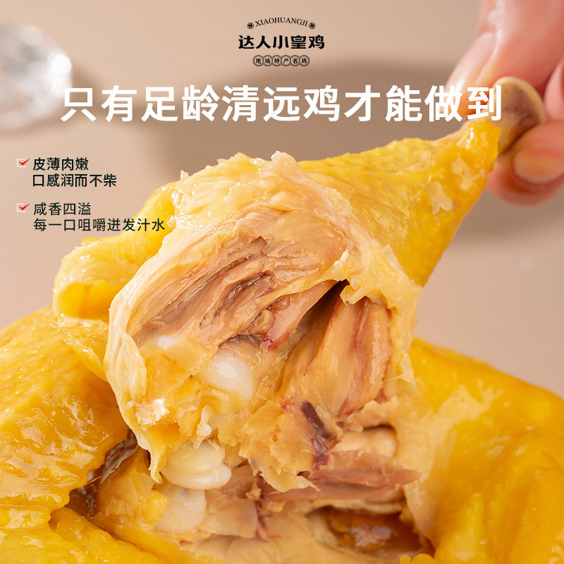 【达人小皇鸡】广州客家盐焗鸡600g顺丰冷链