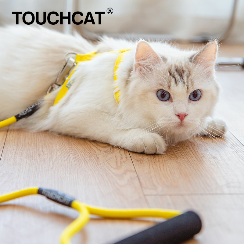 Touchcat它它猫咪牵引绳遛猫绳胸背心式防挣脱工字幼猫链子溜猫绳-封面