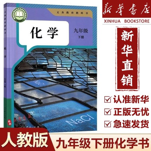 九年级下册化学课本书人教版