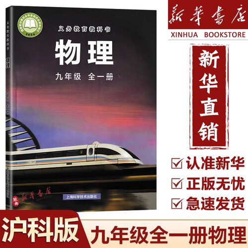 2025新版初中九年级物理全一册