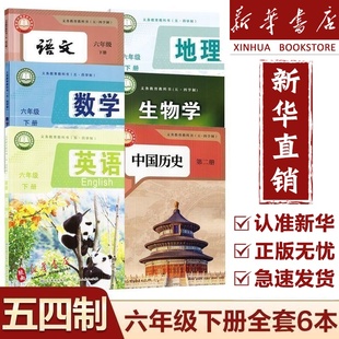 五四制六年级下册课本书教材教科书全套鲁教版 2025新版 书店 65制六下数学课本语数英地历课本教材书 新版