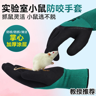 实验室小鼠防咬手套蜜袋鼯儿童抓鼠大鼠防抓宠物老鼠动物c57加厚