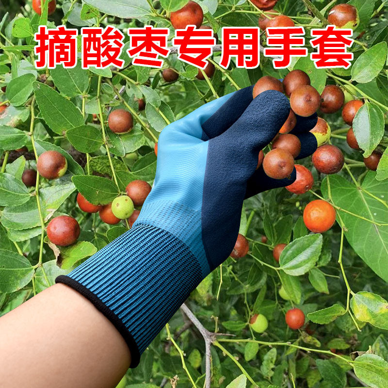 摘酸枣手套花椒防扎神器捡板栗拔笋摘笋防刺耐磨浸胶采摘核桃干活
