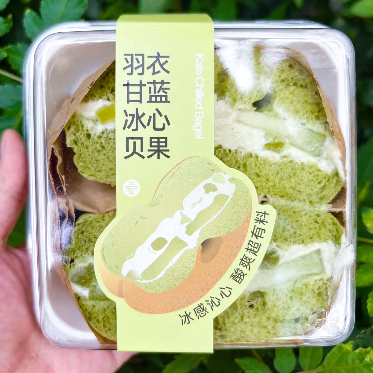 振兴菠萝柠檬冰心贝果蛋糕包装盒羽衣甘蓝冰面包爆浆慕斯打包盒子