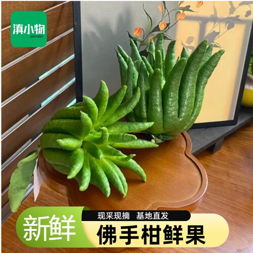 佛手柑 鲜果云南产地直发可食用观赏香薰