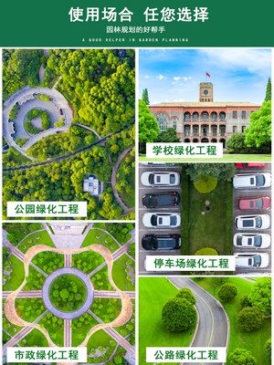 1绿化景观带板花园土隔离带不锈钢石隔根金属隔带草304园林挡草带