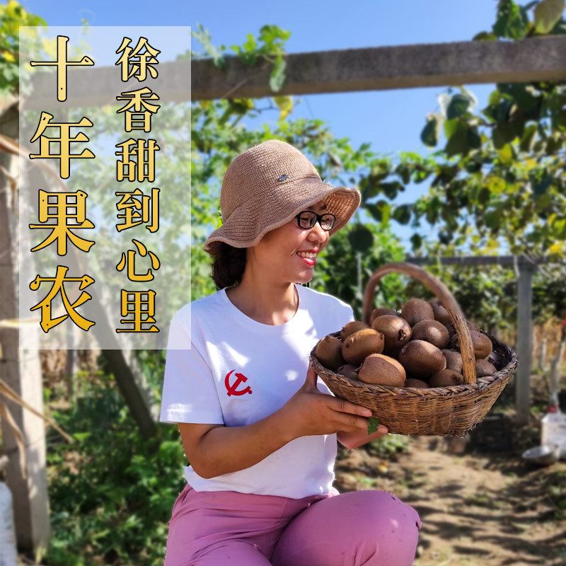 陕西眉县徐香猕猴桃奇异果