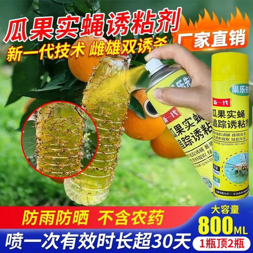 果乐先锋瓜果实蝇诱粘剂捕器昆虫