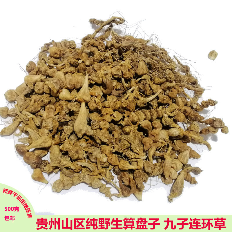 贵州野生中药材算盘子草 珍珠七 珠珠草 九子连环草500g包邮